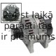 Генератор JP GROUP 1190101200