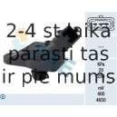 FAE 15055