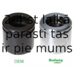 BUDWEG CALIPER 235475