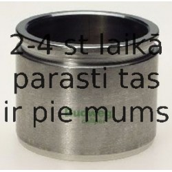 Поршень, корпус скобы тормоза BUDWEG CALIPER 235114
