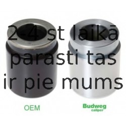 BUDWEG CALIPER 234865