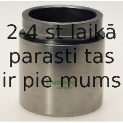 Поршень, корпус скобы тормоза BUDWEG CALIPER 234851