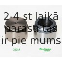 BUDWEG CALIPER 234613