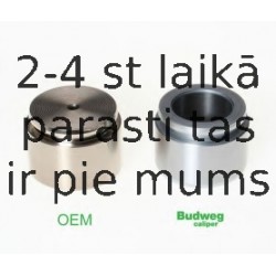 BUDWEG CALIPER 234420
