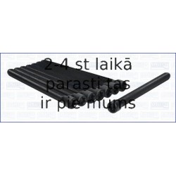 AJUSA 81048700