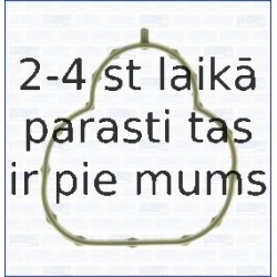 AJUSA 13191600