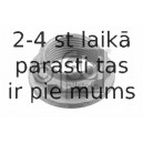 Pusass uzgrieznis, Piedziņas vārpsta FEBI BILSTEIN 01701