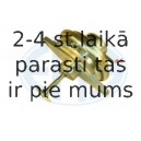Izpl. gāzu recirkulācijas vārsts ERA 555076