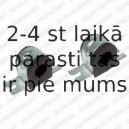 Piekare, Stabilizators DELPHI TD885W