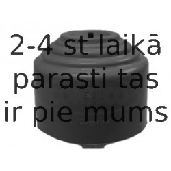 Piekare, Dzinējs CORTECO 80001083