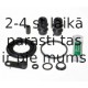 BUDWEG CALIPER 204892