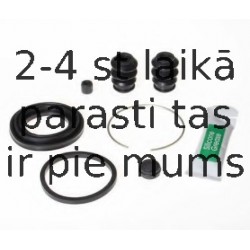 BUDWEG CALIPER 204217