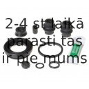 BUDWEG CALIPER 203849