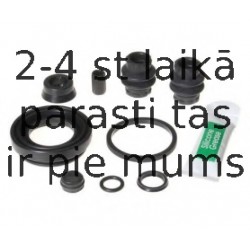 BUDWEG CALIPER 203849