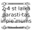 NRF 58343