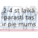 Siltummainis, Salona apsilde NISSENS 71453