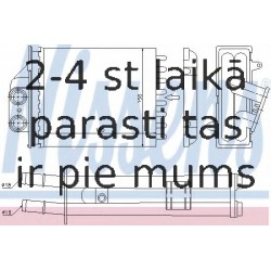 Siltummainis, Salona apsilde NISSENS 71453