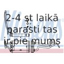 Siltummainis, Salona apsilde NISSENS 70980