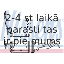 Siltummainis, Salona apsilde NISSENS 70980
