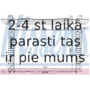 Радиатор, охлаждение двигателя NISSENS 65536A