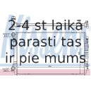 Радиатор, охлаждение двигателя NISSENS 65303