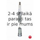 Aizdedzes svece NGK 3789