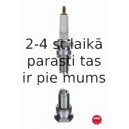 Aizdedzes svece NGK 3123