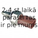 MEAT & DORIA 36008