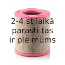 Воздушный фильтр MANN-FILTER C 31 980