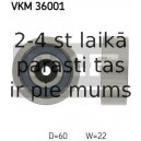 Parazīt-/Vadrullītis, Ķīļrievu siksna SKF VKM 36001