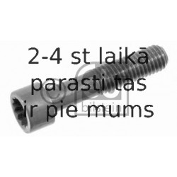 Skrūve, Kardānvārpstas flancis FEBI BILSTEIN 09455