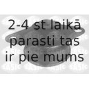 Kronšteins, Motora piekare SASIC 4001752