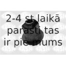 Piekare, Tilta sija SASIC 1315945
