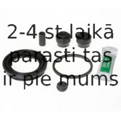 BUDWEG CALIPER 204879