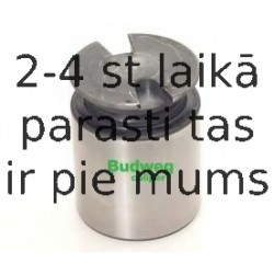 Поршень, корпус скобы тормоза BUDWEG CALIPER 233850
