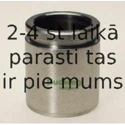 Поршень, корпус скобы тормоза BUDWEG CALIPER 233831