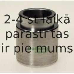 Поршень, корпус скобы тормоза BUDWEG CALIPER 233819