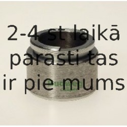 Поршень, корпус скобы тормоза BUDWEG CALIPER 233810