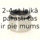 Поршень, корпус скобы тормоза BUDWEG CALIPER 233803