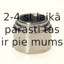 Поршень, корпус скобы тормоза BUDWEG CALIPER 233802