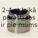 BUDWEG CALIPER 233504