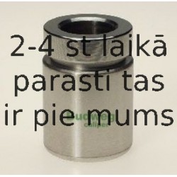 Поршень, корпус скобы тормоза BUDWEG CALIPER 233413