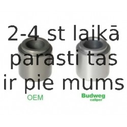BUDWEG CALIPER 233209