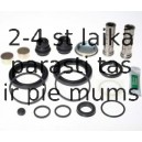 BUDWEG CALIPER 206029
