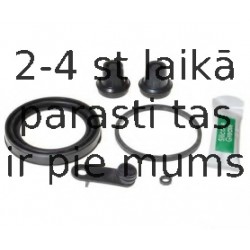BUDWEG CALIPER 205473