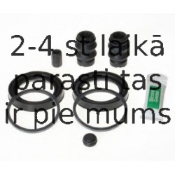 BUDWEG CALIPER 204896