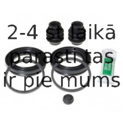 BUDWEG CALIPER 204889