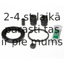BUDWEG CALIPER 204878