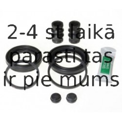 BUDWEG CALIPER 204860