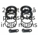 BUDWEG CALIPER 204616
